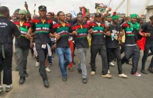 Ohanaeze Ndigbo Begs IPOB To Reconsider The Sit-At-Home Order