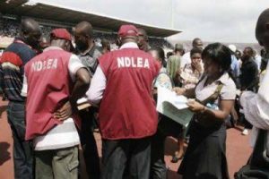 Ndlea in Edo state